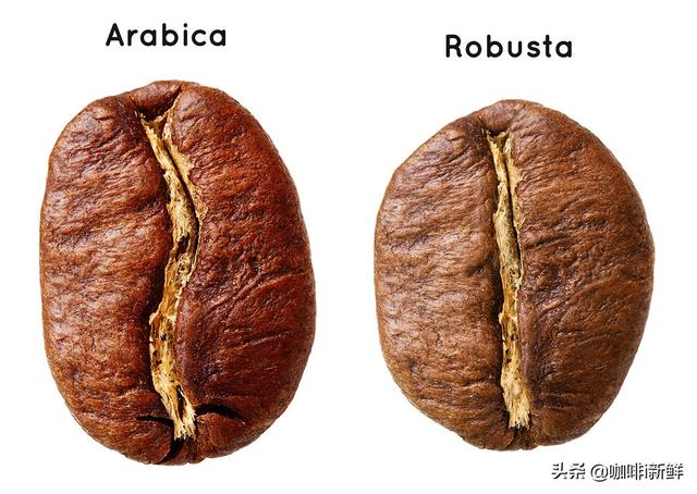 个性网欧美网名:你听过什么有个性却不俗的名字