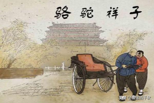 骆驼祥子中小马和老马的结局