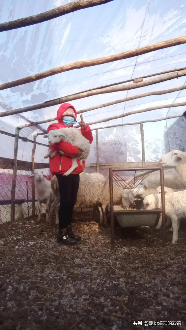 中青报谈奇葩的审美概念，艺术审美和人自身的文化有没有关系文化不高，审美就很低吗