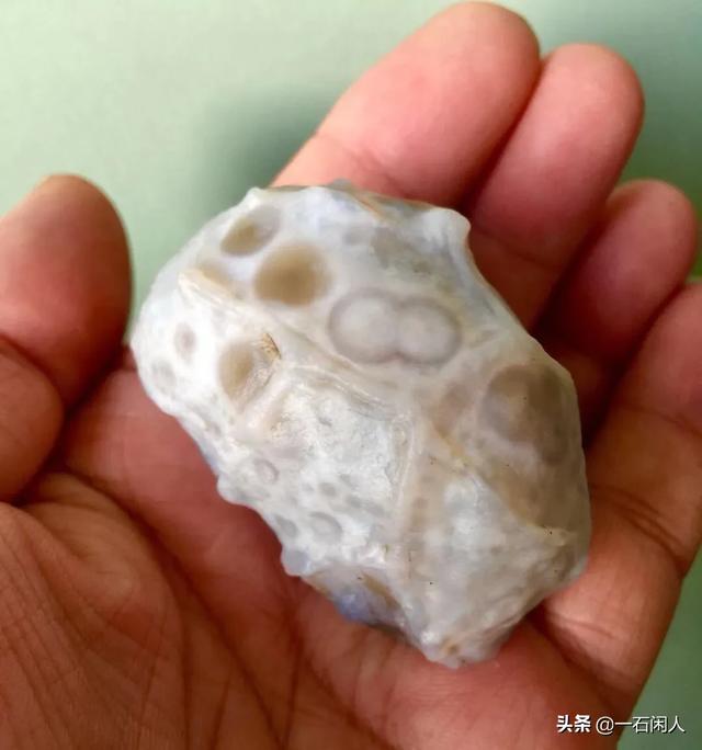 我在多伦诺尔那边的湖里捡了不少透明的石头,当地人说是玛瑙,这外意