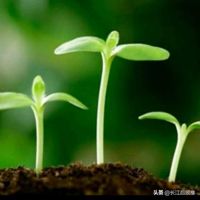 男人自私懒惰,没有上进心,家庭责任感不强,还有好办法拯救吗？