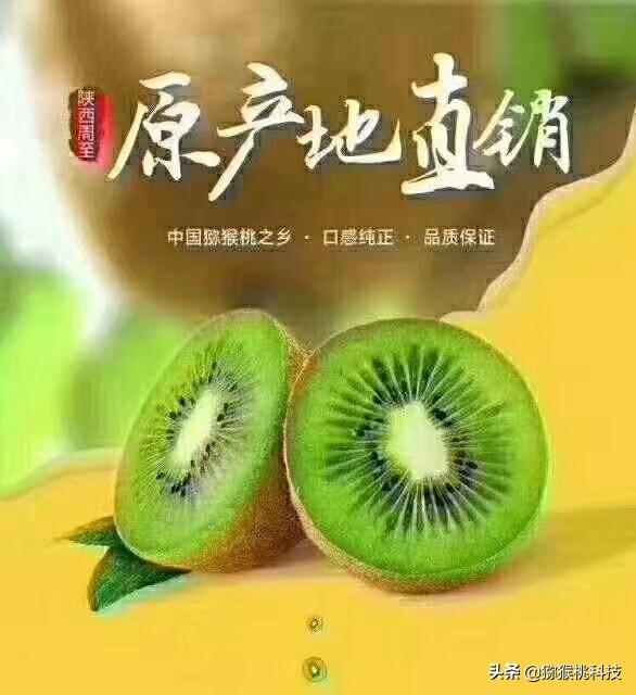 中国有奇异果吗，奇异果和猕猴桃是同一种水果吗如果不是，两者又有何区别