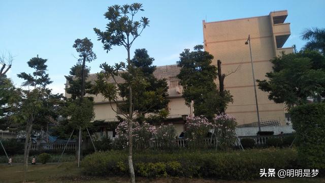 《凡人修仙传》的网文地位究竟如何？