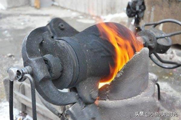 宠物食品店闪闪麻麻:宝宝不爱吃饭，反复生病，怎么样才能提高免疫力？