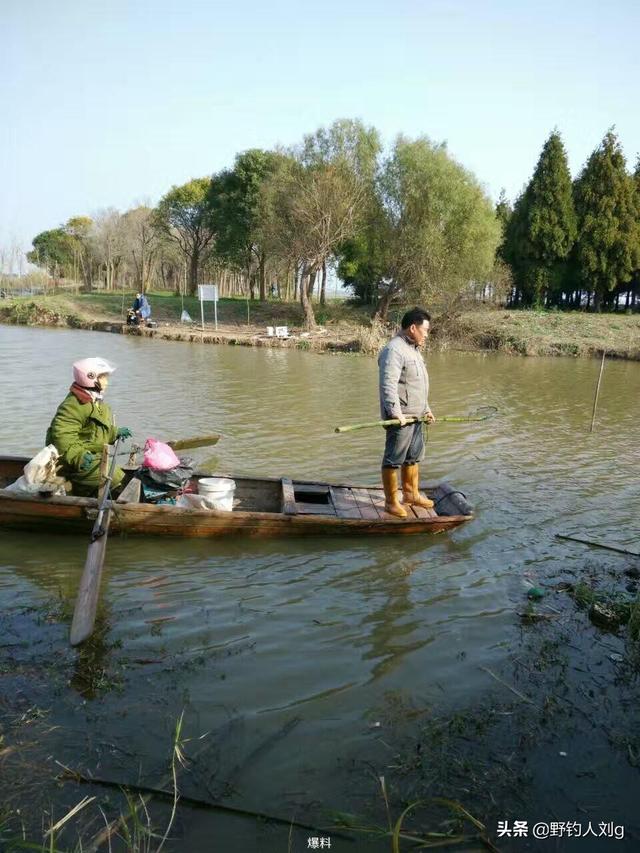 哪里能捕到斑鰶鱼:中国最好吃的鱼是什么鱼？