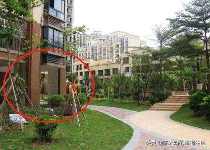 买房不买第一排,为什么买房不喜欢买一楼呢？