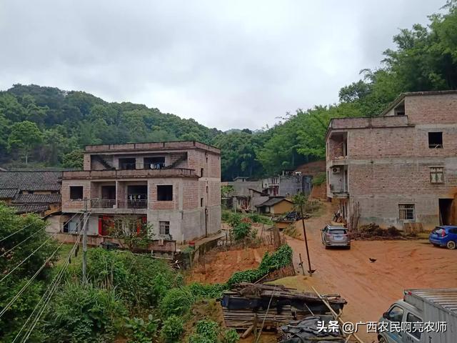 现在农村里为什么还有那么多的地空闲着？农民积极性下了降吗？