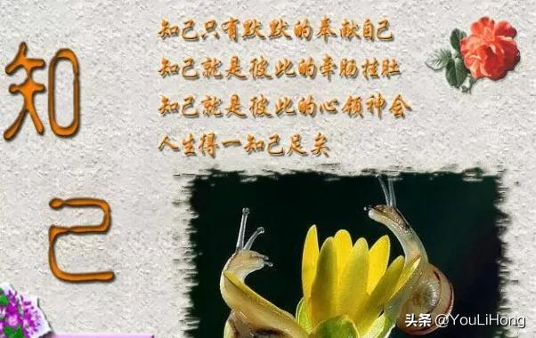 知己会一辈子吗?-百科网