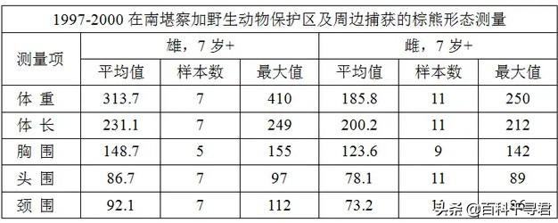 棕熊战斗力什么水平，为什么说棕熊任何猫科都打不过它