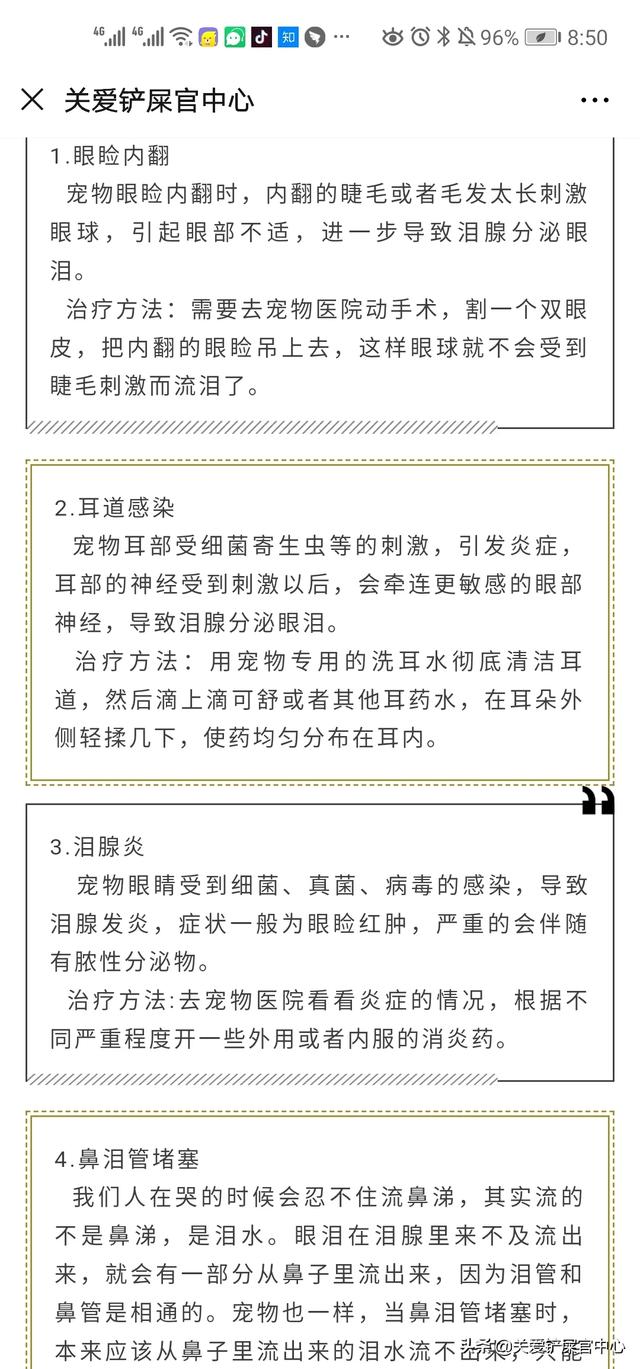 宠物泪腺炎症状:泪腺炎症状图片 狗狗有泪痕，你觉得这跟上火不上火有关系吗？为什么？