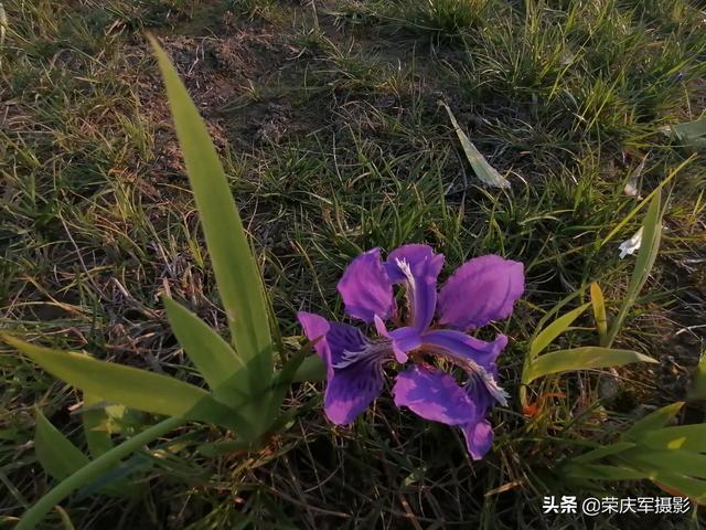 现在出去旅游或者游玩,拍照你选择带数码相机还是带手机拍照啊？