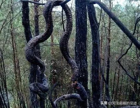 灵异事件清朝衣服:中国古代，有没有专门负责处理灵异事件的官署？