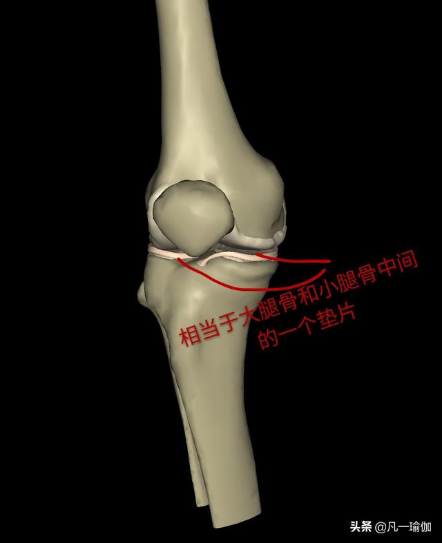 头条问答 怎么锻炼腿又不伤半月板 3个回答