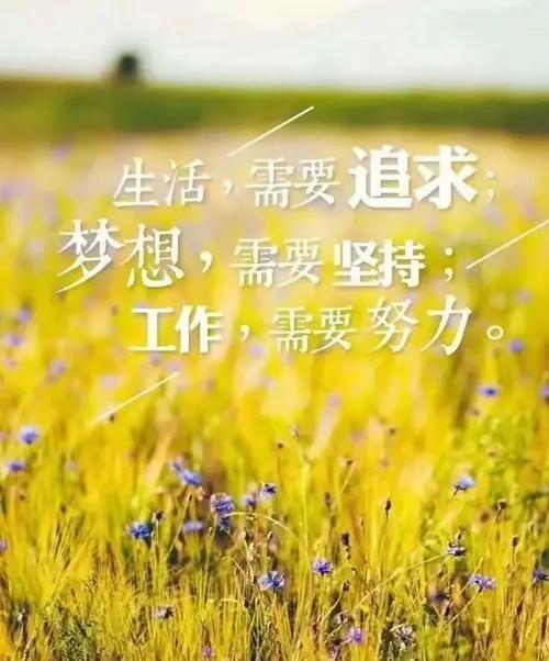 李z瑞事件:电影《九品芝麻官》有哪些现实意义