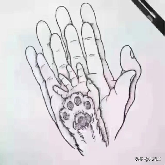 单身养狗的女人不能娶什么意思:为什么有些女生喜欢养狗，大狼狗那样的？
