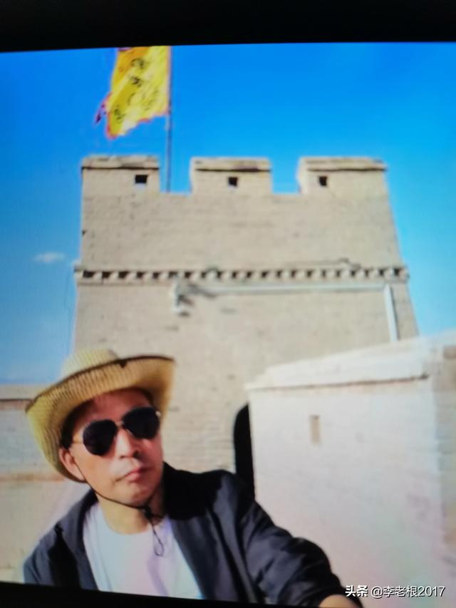羊驼与野草的故事:“王与马，共天下”这句话是怎么来的呢？