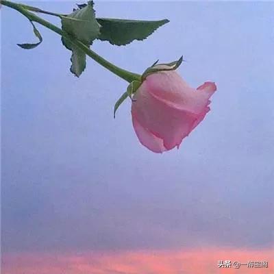 吕丽萍婚姻:多次离婚后的人，是会更珍惜婚姻还是对婚姻更随意