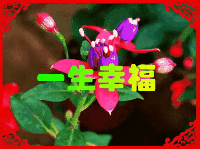 年龄:年龄计算器 人到什么岁数，才能算得上真正的老了？