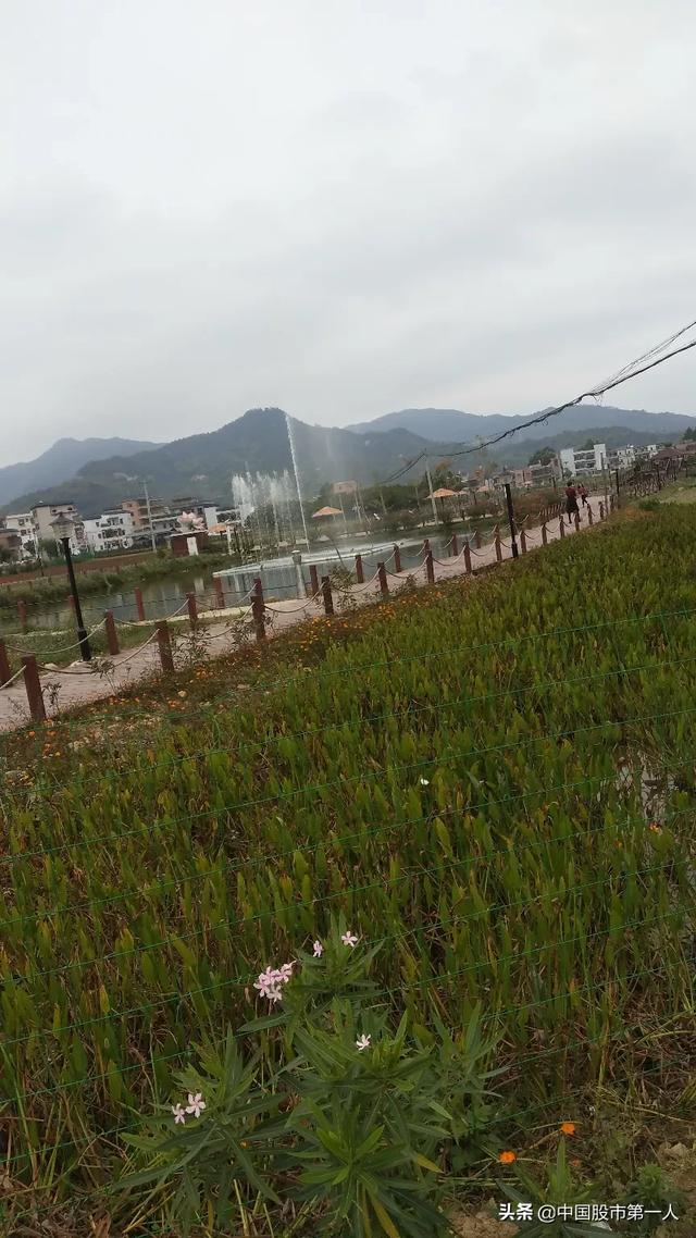 你能说出中国境内100%稳赚不赔的行业吗？
