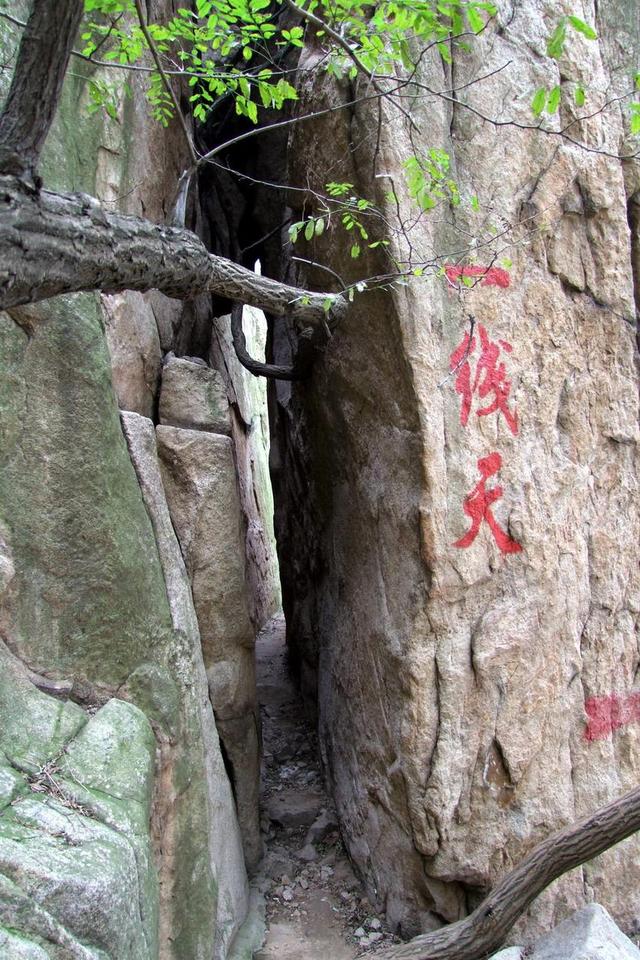 莱芜名人:莱芜人到济南这么远，方言又不同，风俗也不同，能融入进去吗？