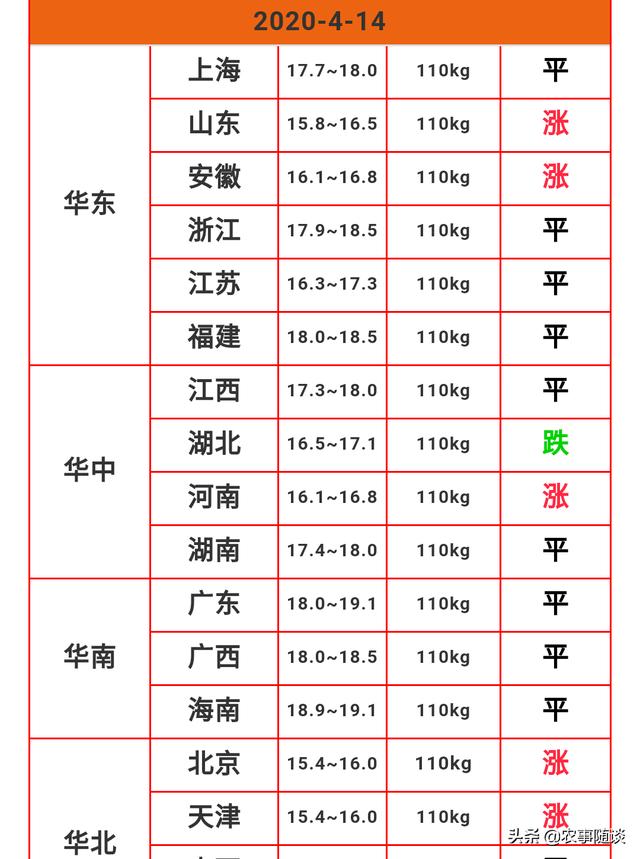 茶杯猪图片欣赏:猪肉还能降到以前的13元1斤吗？