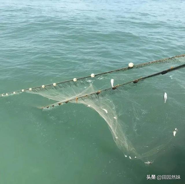 头条问答 出海捕鱼危险吗 41个回答