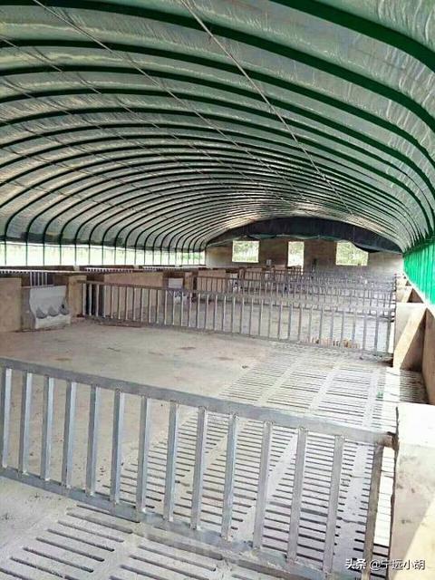 散养鸡舍:农家散养土鸡比养鸡场的商品鸡贵几倍，是否物有所值？
