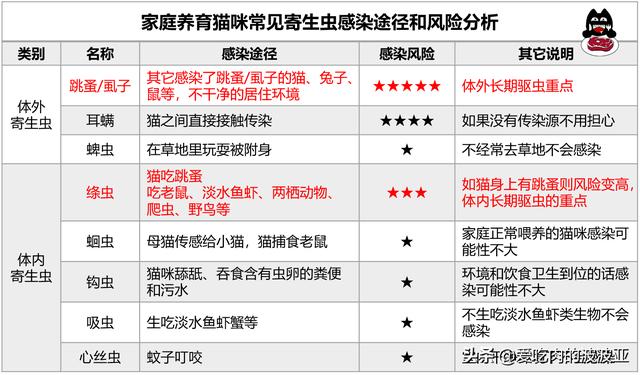 宠物医生博客林政毅:作为一个宠物医生是什么样的体验？