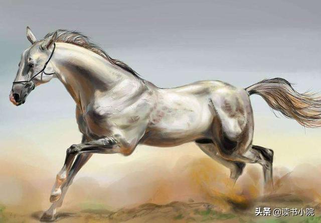 斗战神神将哮天犬:哮天犬只是二郎神身边听唤的下手吗二郎神有坐骑吗