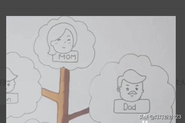 画大树怎么画,family tree怎么画？