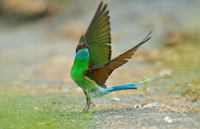 如何对付生气的12星座？