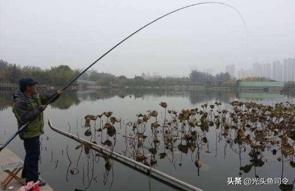 大水榕长出水面:真心请教，野钓水底长满了厚厚的水草（整条河都是）该如何作钓？