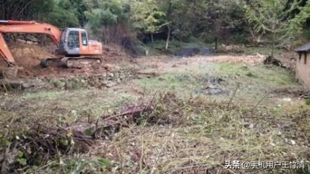 蕲蛇图片:蕲蛇的故事（附药：金钱白花蛇）？
