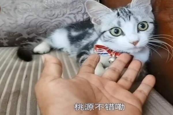丁兰兰:袁老走了，袁花花怎么办？
