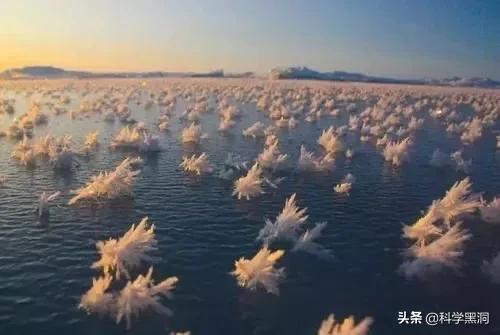 南极附近的死亡冰柱是怎么回事？为什么能杀死那么多生物？