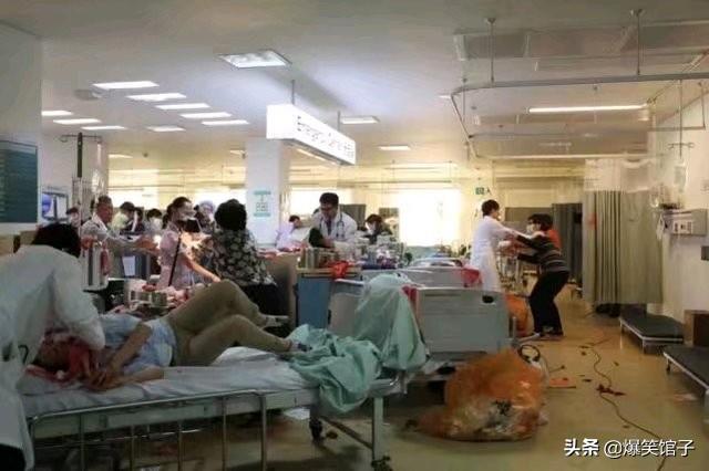 秋田犬八千電影趨勢:迄今为止，哪部电影最感动你？