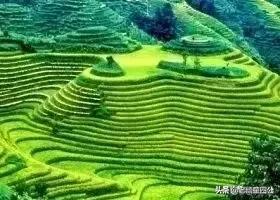 李自成是怎样由成功转为失败的？
