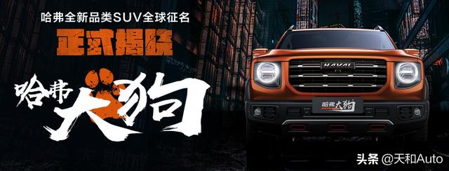哈弗大狗:哈弗大狗新车标现在能买得到吗？ 哈弗大狗汽车新款2021款报价