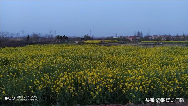 25岁,女生,事业编,该如何找到自己的兴趣爱好？怎样踏出舒适圈怎样消除负能量？