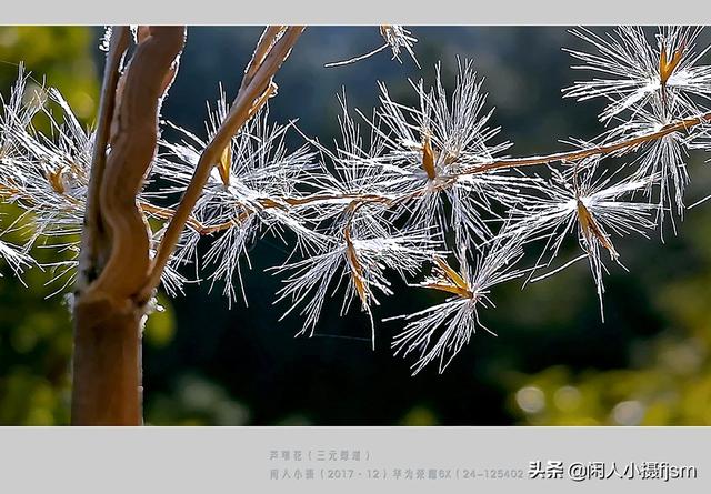 手机摄影如何拍出高大上的感觉