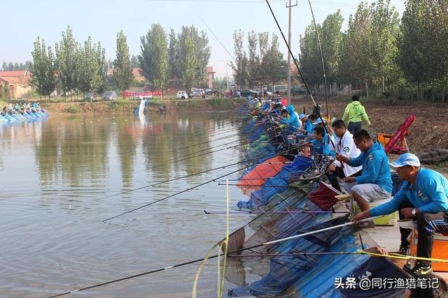 魔兽世界怀旧服新鲜的夜鳞鲷鱼在哪钓:求钓鱼大师高手解答，罗非和三道鳞混养坑怎么钓？