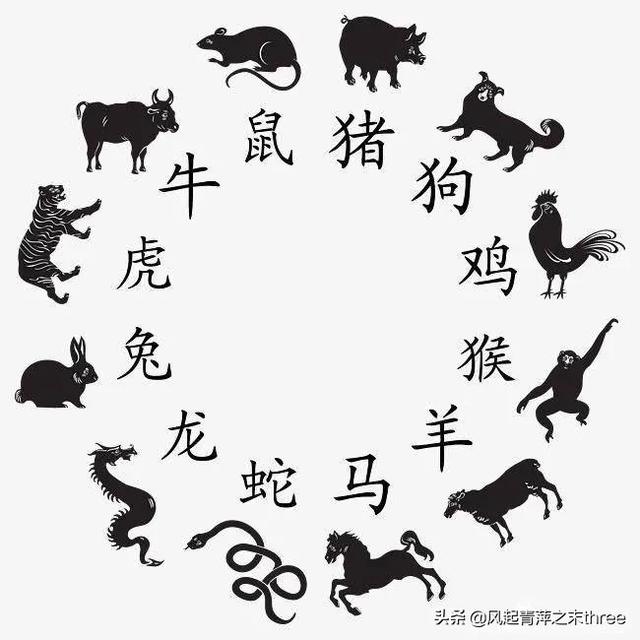 北京江润犬业的自频道:属鸡和属狗在一起真的经常吵架吗？