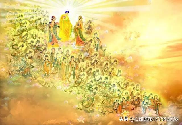 翻车鱼的死法太残忍了:一个在社会上糟糕透顶的人，应该繁衍后代吗？