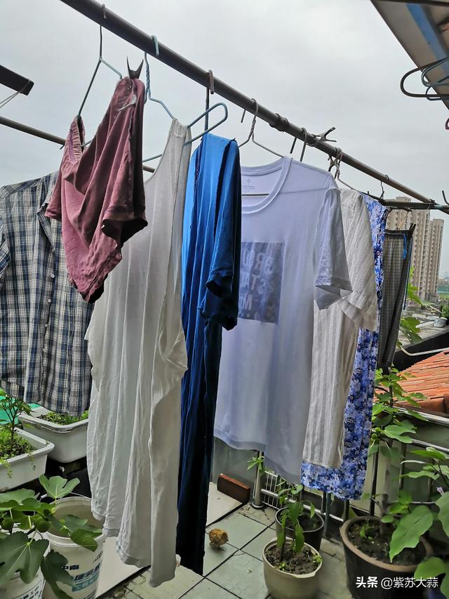 头条问答 - 南方梅雨季节衣服潮湿,有啥好妙招吗?(耳双553的回答,0赞)