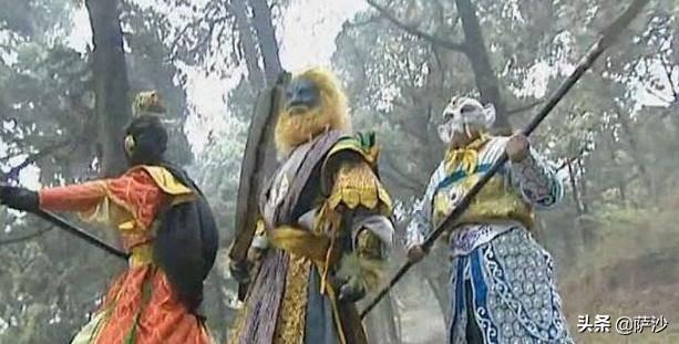 步狮:为什么有人说只有饿死的狮子而没有饿死的老虎？