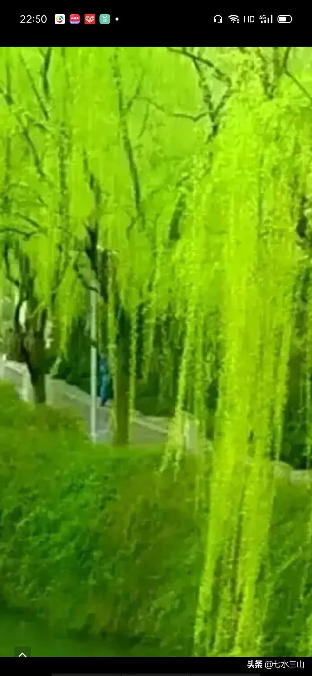 有婚纱和翅膀的的微信头像:十一岁的女儿不愿意对我敞开心扉，我该怎么办