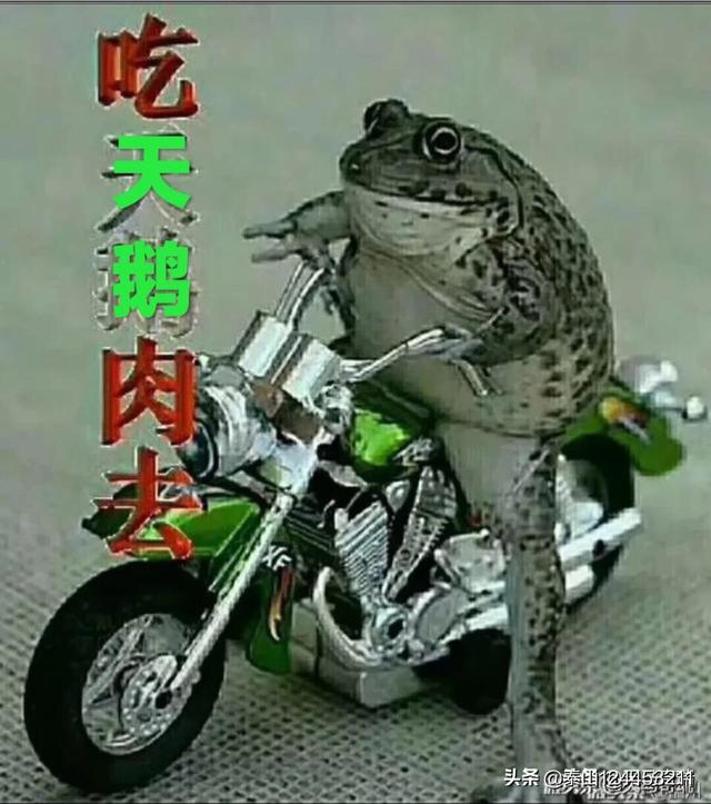 怎么理解“坏人嘴里无好人”这句话？