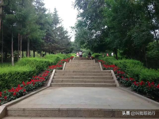 对于影视剧“手撕鬼子”你们怎么看？插图7