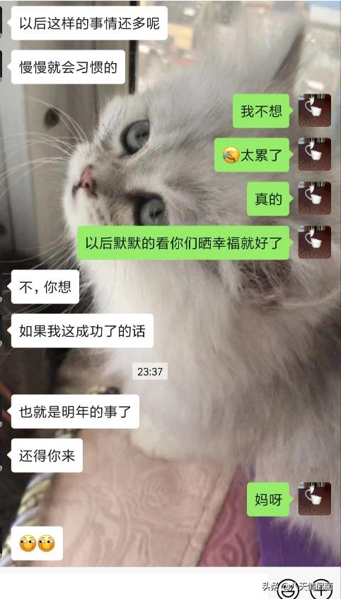 网恋见光死是什么意思,网恋一天就见面的，可信么？