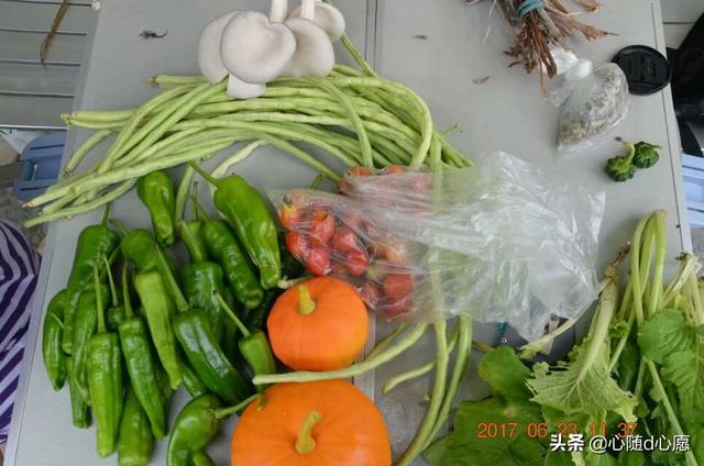 我家住在顶楼，最近想在楼顶搞一个空中花园，能否请大家提供好思路？插图63